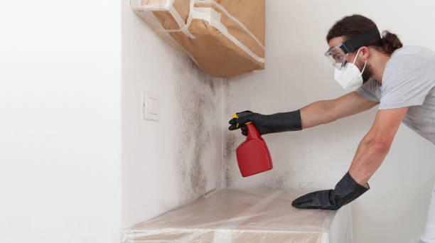 Professional Mold Removal technician working in Trenton, FL